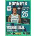 2023-24 PANINI NBA Top Class - #19 - PJ Washington Jr. - Charlotte Hornets
